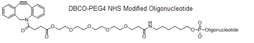 Bio-Synthesis Inc. Oligo Structure